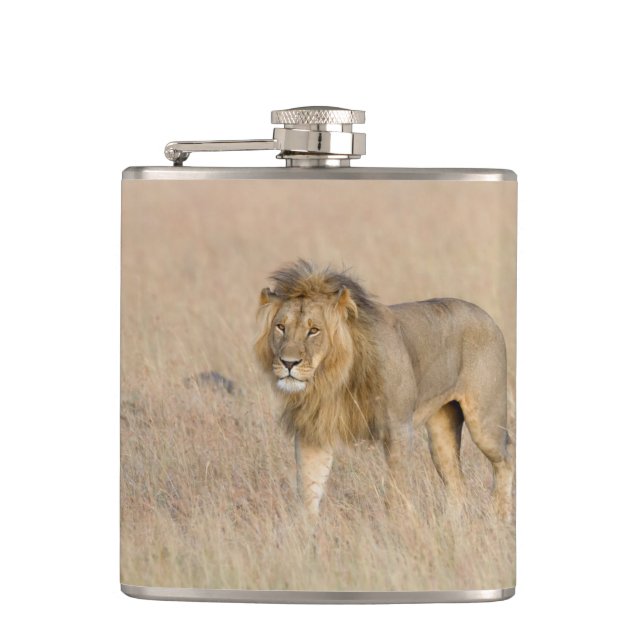 Lion Walking Flachmann (Vorderseite)