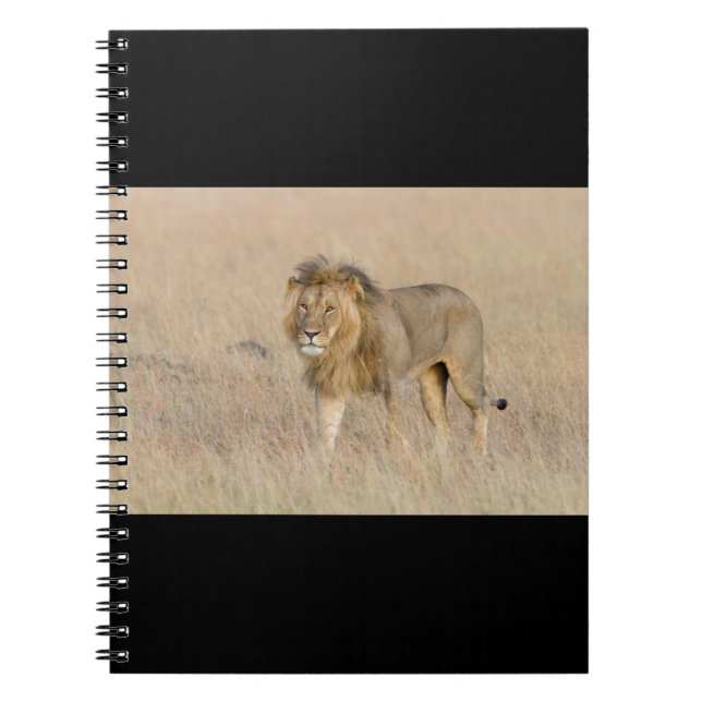 Lion Walking Notizblock (Vorderseite)