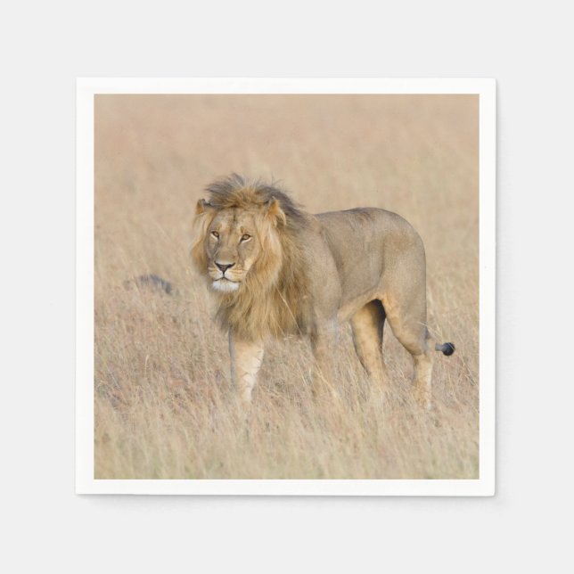 Lion Walking Serviette (Vorderseite)