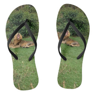 Lion yawn Flip Flops