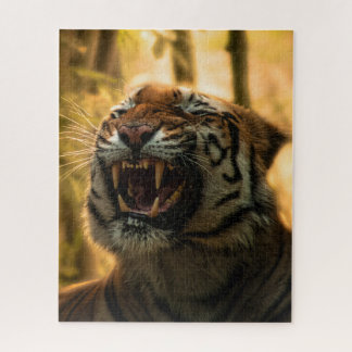 Lion Yawning Majestic King of the Dschungel