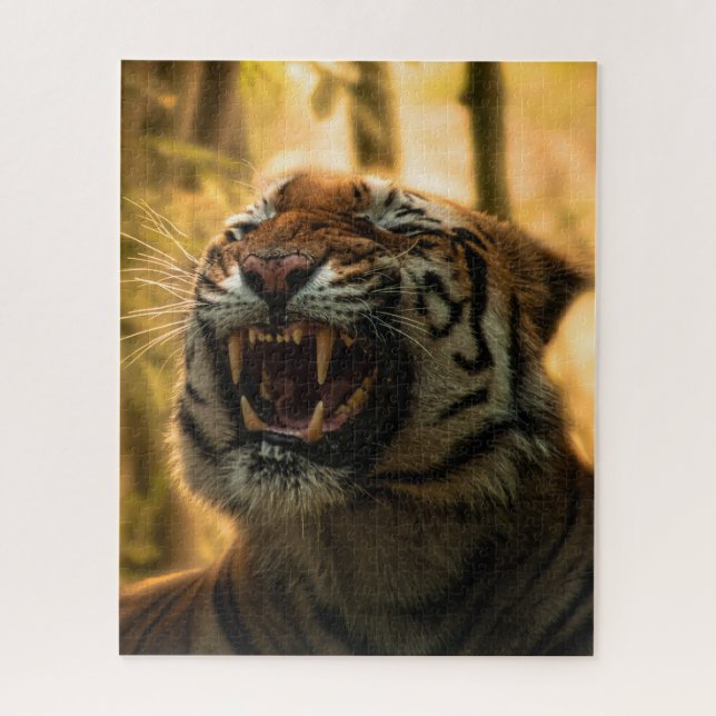 Lion Yawning Majestic King of the Dschungel (Vertikal)