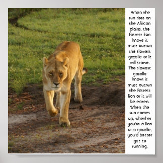 Lioness at Masai Mara Inspiration Poster