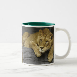 Lioness Foto Tasse