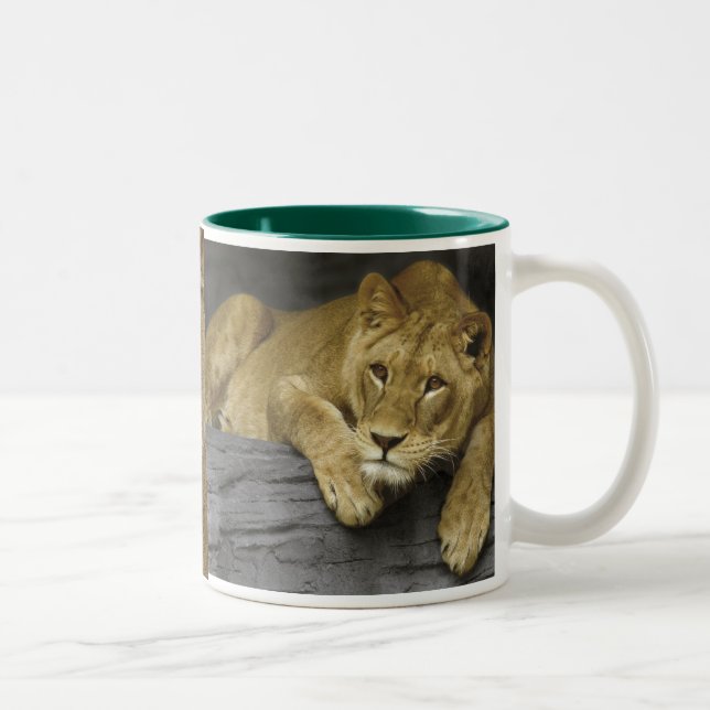 Lioness Foto Tasse (Rechts)