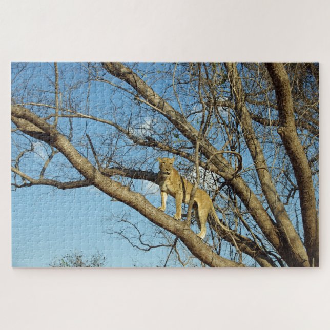 Lioness in einem Baum (Horizontal)