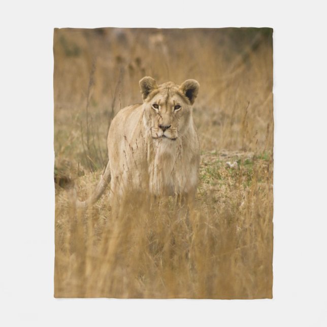 LIONESS IN THE GRASS FLEECEDECKE (Vorderseite)