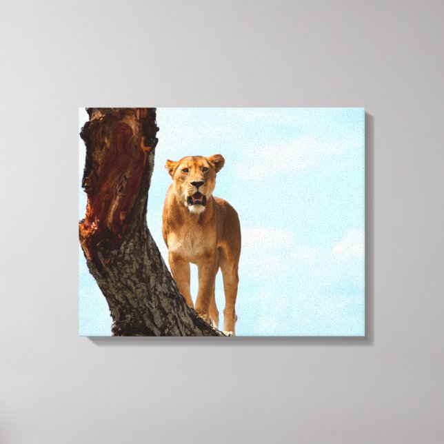 Lioness Leinwanddruck (Vorderseite)