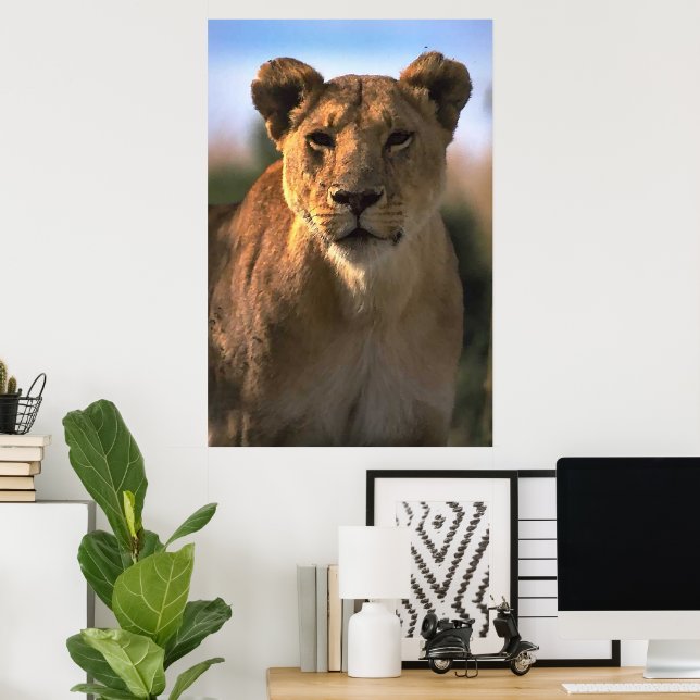 Lioness Lion Lovers Poster (Heimbüro)