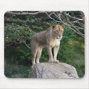 Lioness Mousepad