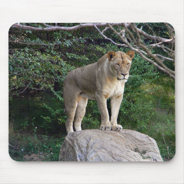 Lioness Mousepad (Vorne)