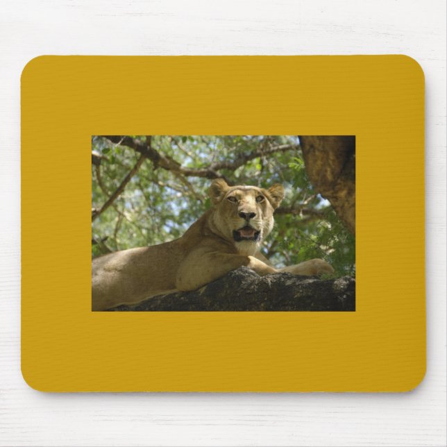 Lioness Mousepad (Vorne)