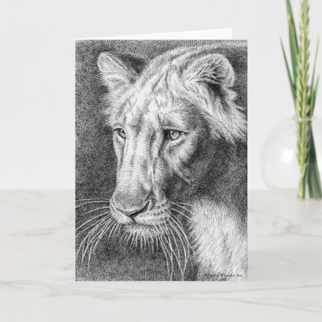 Lioness Pen Zeichnend Grußkarte Karte (Vorderseite)