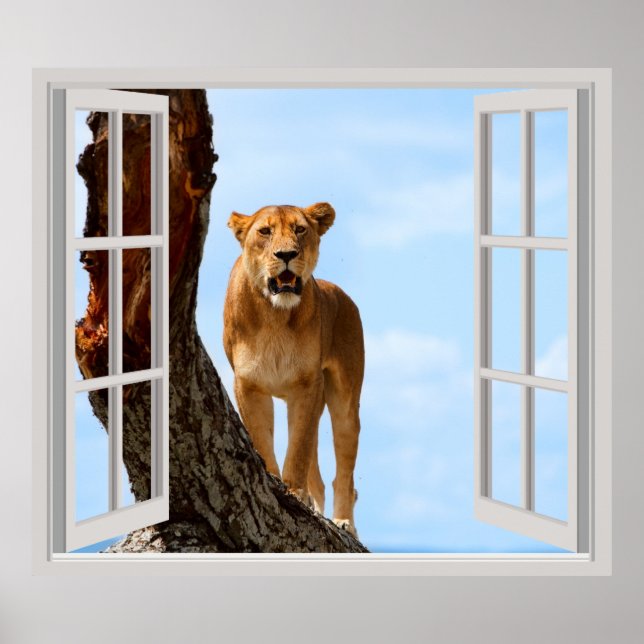 Lioness Poster (Vorne)