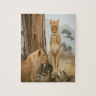 Lioness-Regeln