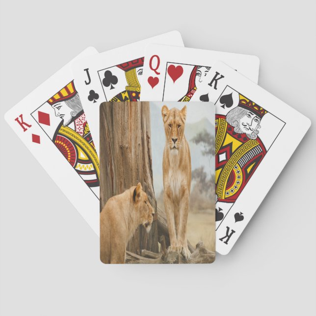 Lioness-Regeln Spielkarten (Rückseite)