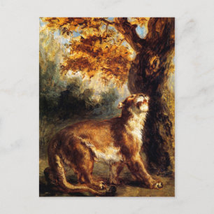 Lioness sticht sie postkarte