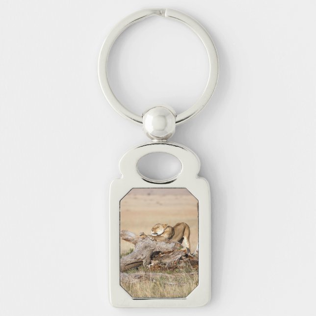Lioness stretching schlüsselanhänger (Vorderseite)