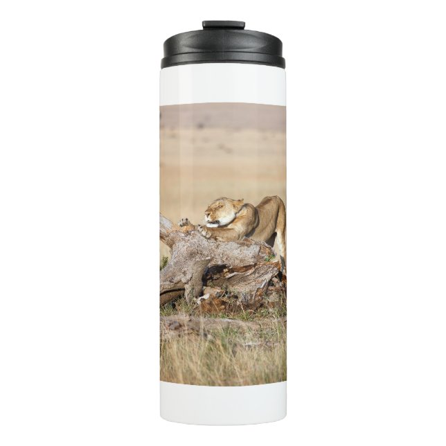 Lioness stretching thermosbecher (Vorderseite)