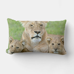 Lioness und Two Cubs, Ostafrika, Tansania, Lendenkissen