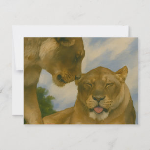 Lioness Unternehmen im goldenen Licht Postkarte