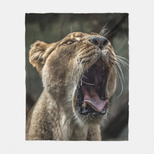 LIONESS YAWNING FLEECEDECKE