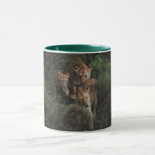 Lionesse und ein Löwengürtel, die durch die Shrubs Tasse