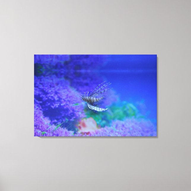 Lionfish Aquarium Lila Pterois Zebrafish Leinwanddruck (Vorderseite)