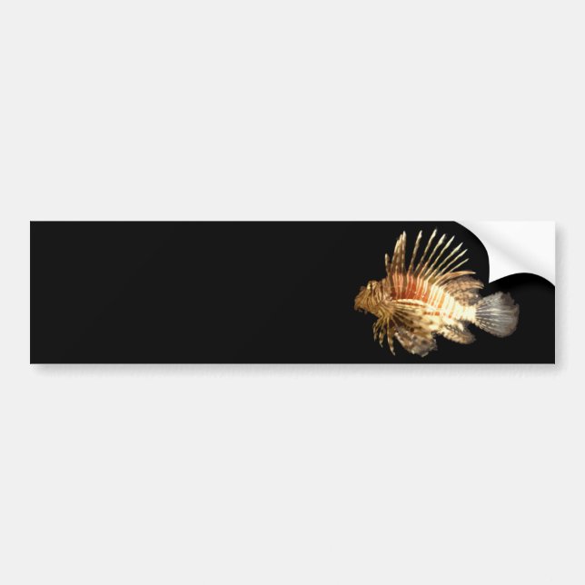 Lionfish Autoaufkleber (Vorne)