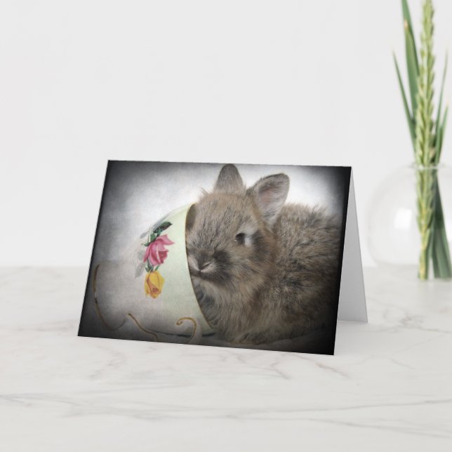 Lionhead Bunny and Teacup All Chance Karte (Vorderseite)