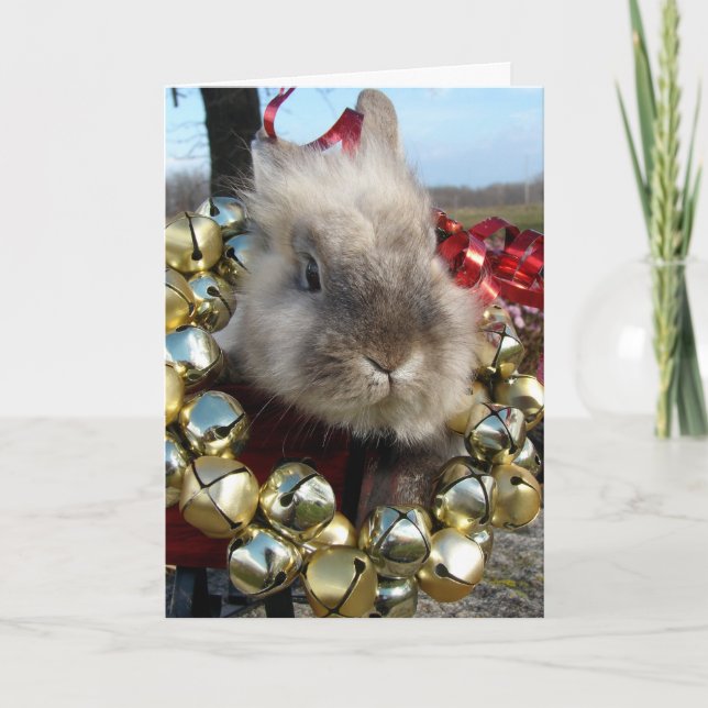 Lionhead Bunny Christmas Feiertagskarte (Vorderseite)