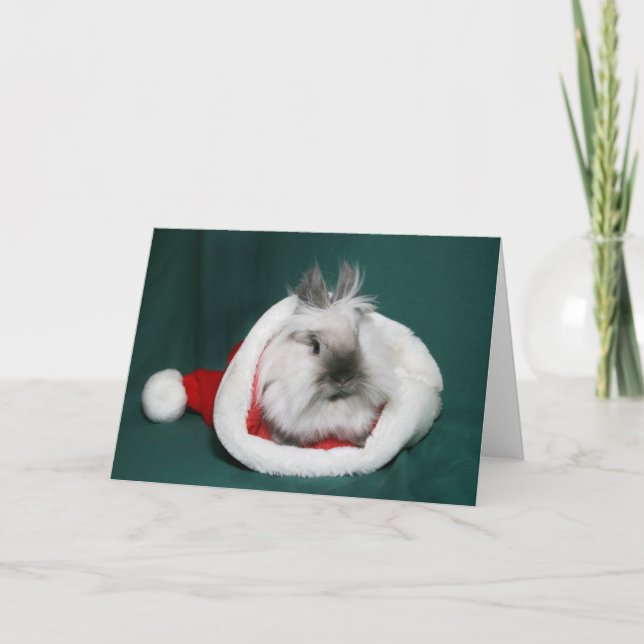 Lionhead Bunny Santa Feiertagskarte (Vorderseite)