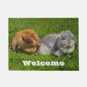 Lionhead Holland Mini Lop Bunny Rabbit Fußmatte