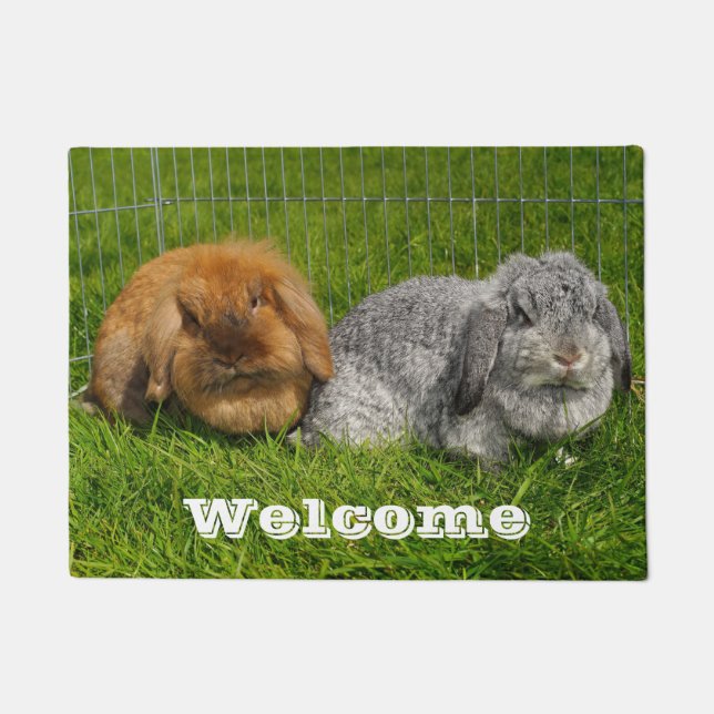 Lionhead Holland Mini Lop Bunny Rabbit Fußmatte (Vorderseite)