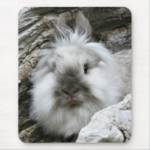 Lionhead Rabbit Mousepad