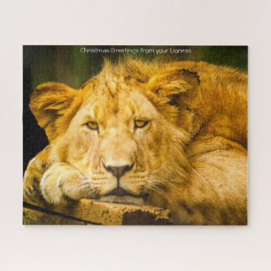 Lionnes Grands Félins. Puzzle
