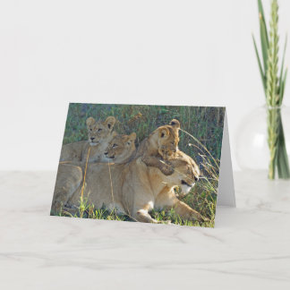 LIONNEUR AVEC TROIS CUBS carte de voeux