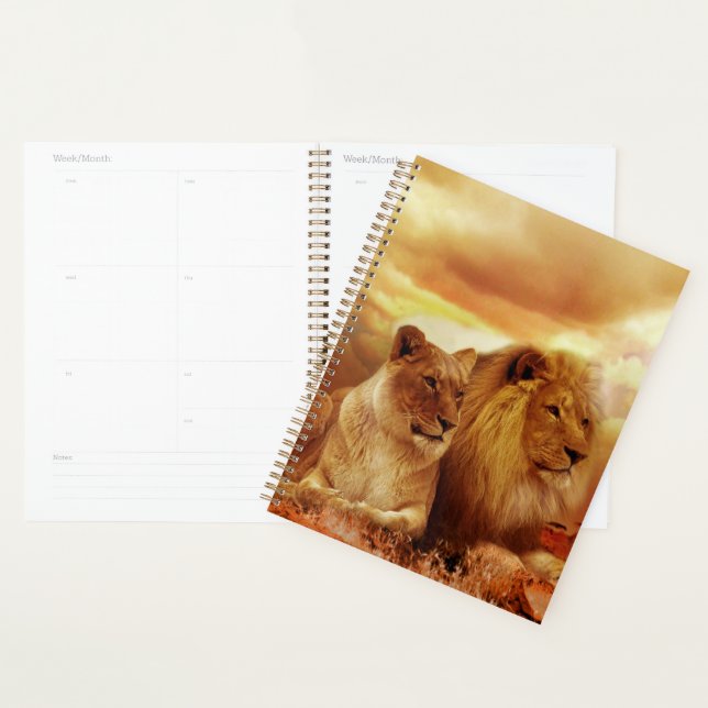 Lions (Devant avec enveloppe)