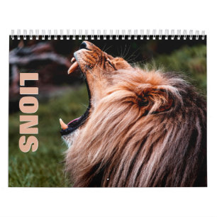 Lions 2022 Wall Calendar Kalender