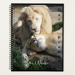 Lions blancs - Planificateur quotidien - HAMbWG