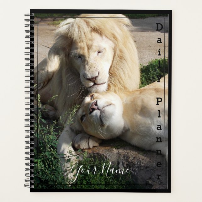 Lions blancs - Planificateur quotidien - HAMbWG (Devant)