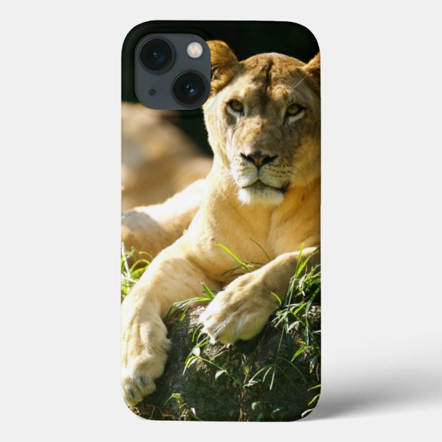 Lions Case-Mate iPhone Hülle (Rückseite)