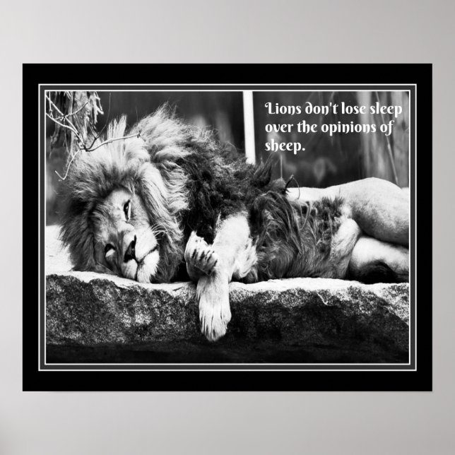 Lions don't lose sleep over the opinions of sheep- poster (Vorne)