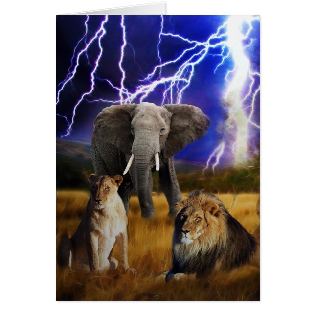 Lions Elephant Südafrika (Vorne)