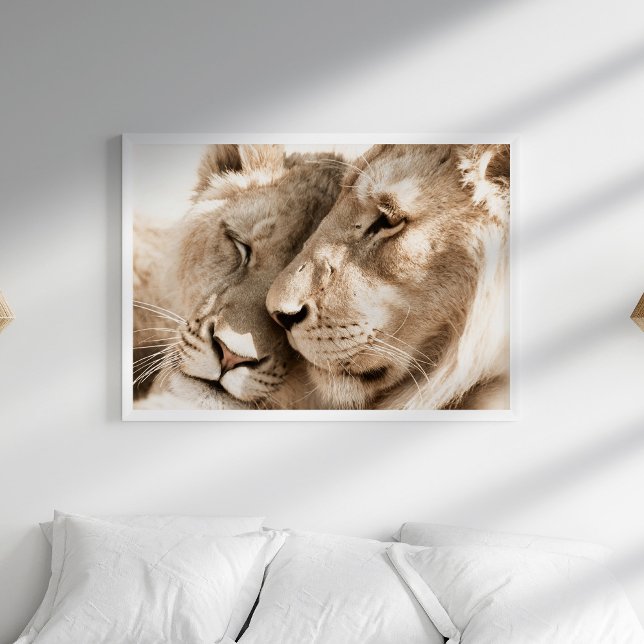 Lions Liebe Safari Animals Fotoposter Poster (Lions Love Safari Animals Photography Poster in a white boho bedroom.)