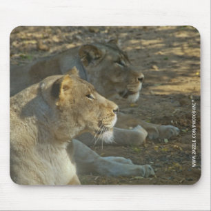 Lions Mousepad