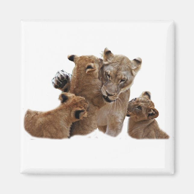 Lions Pride Square Magnet (Vorne)