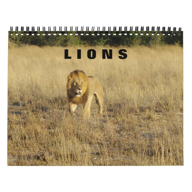 LIONS - TOUS LES LIONS CALENDRIER (Protection)