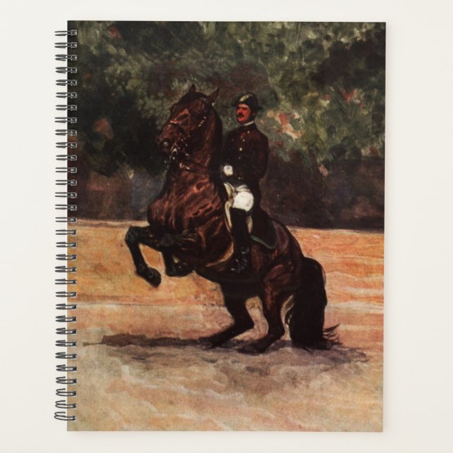 Lipizzaner Dressage Levade Planer (Vorderseite)