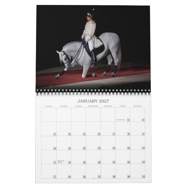 Lipizzaner Stallions Kalender (Jan 2027)